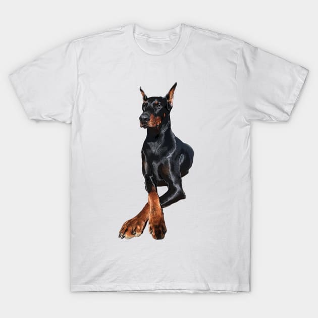 Doberman Dog Dobermann Pinscher T-Shirt by Elarex